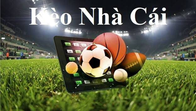V9BET-Tải app Android/IOS và thỏa sức khám phá! V9BET-Tải app Android/IOS và thỏa sức khám phá!